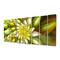 Designart - Huge Yellow Fractal Flower - Floral Canvas Art Print